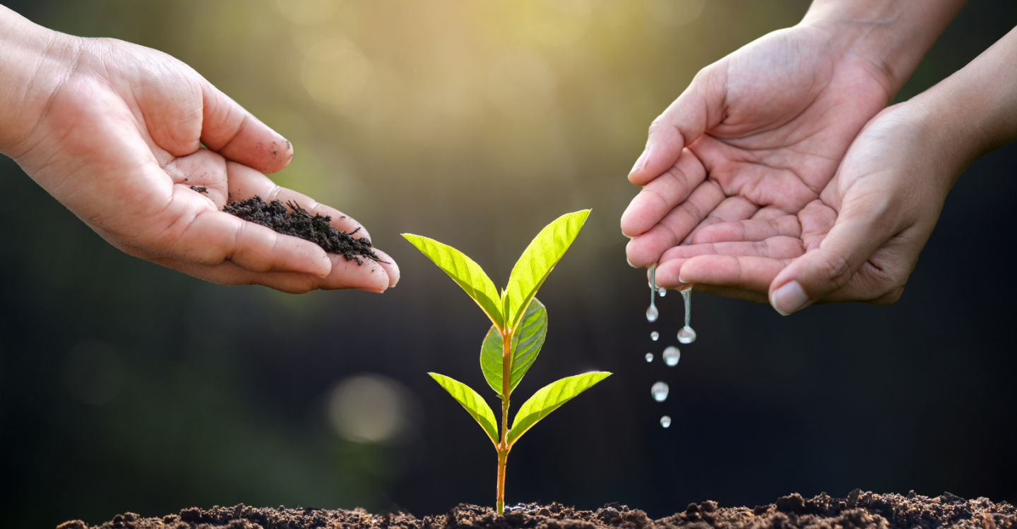 TOP 1 TẠI HÀN QUỐC