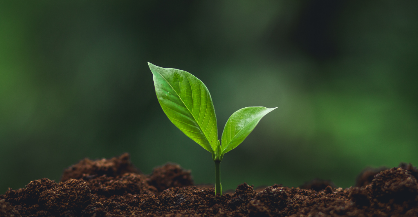 Vì một cuộc sống tốt đẹp hơn