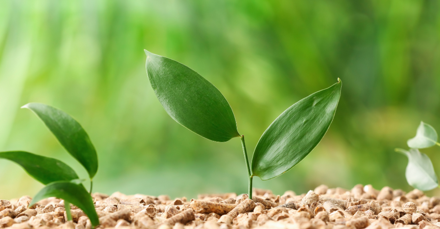 TOP 1 TẠI HÀN QUỐC